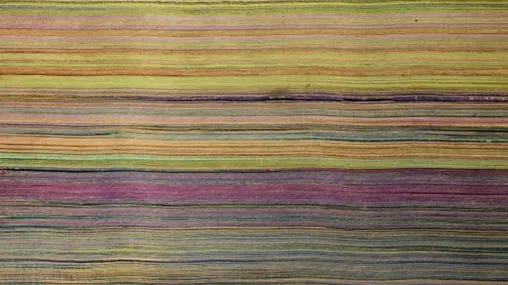 The history's most expensive Qu'ran - Colors